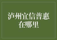 泸州宜信普惠：数字化普惠金融的新探索