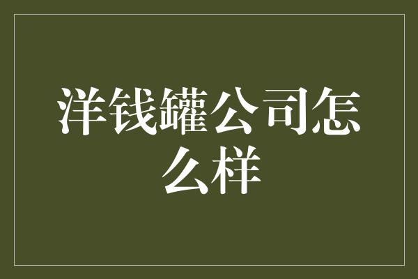 洋钱罐公司怎么样