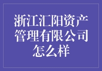 浙江汇阳资产管理有限公司：理财界的厨神，炒菜界的金融专家