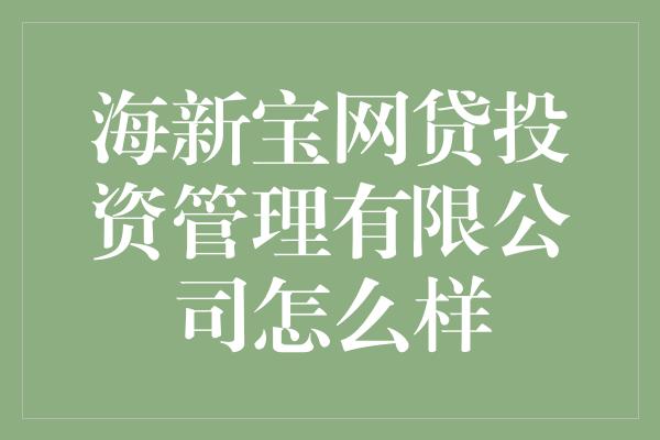 海新宝网贷投资管理有限公司怎么样