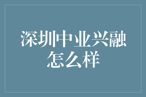 深圳中业兴融怎么样