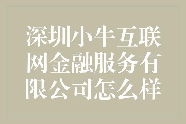 深圳小牛互联网金融服务有限公司怎么样