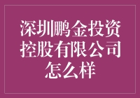 深圳鹏金投资控股有限公司的探索与解析：金融领域的创新力量