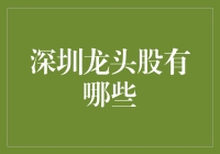 深圳龙头股投资指南：未来科技与产业升级的风向标