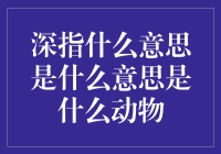 深指什么意思是什么意思是什么动物？这是一道数学题还是文学艺术？