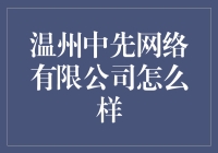 温州中先网络有限公司：在数字时代探索无限可能