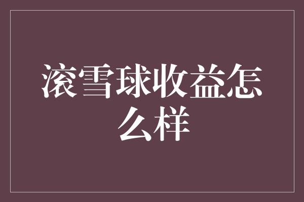 滚雪球收益怎么样