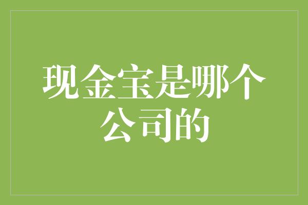 现金宝是哪个公司的