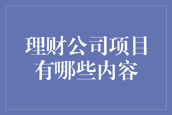 理财公司项目有哪些内容