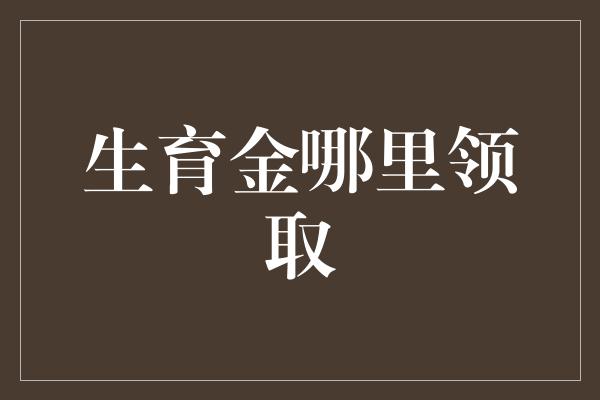 生育金哪里领取