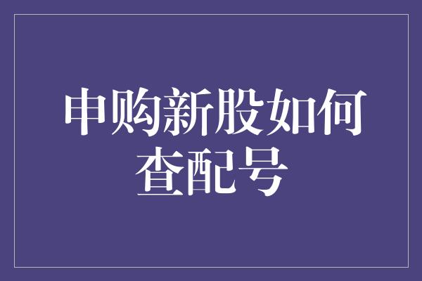 申购新股如何查配号