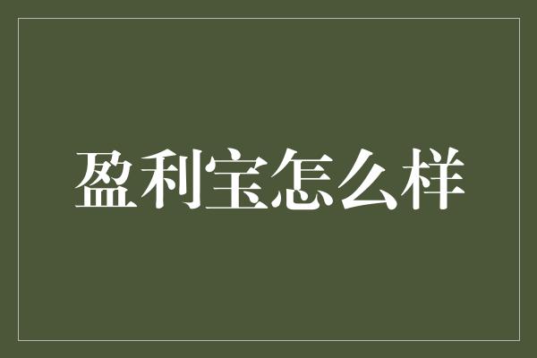 盈利宝怎么样