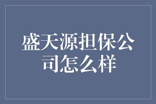 盛天源担保公司怎么样