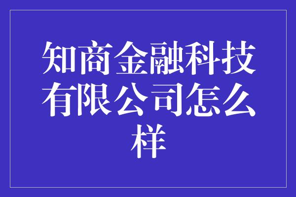 知商金融科技有限公司怎么样