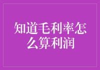 密码解锁：毛利率背后的财富密码