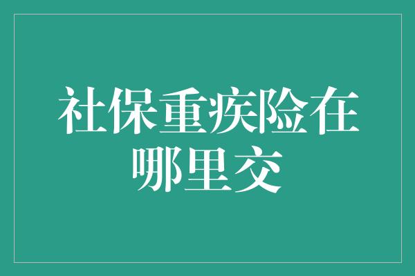 社保重疾险在哪里交