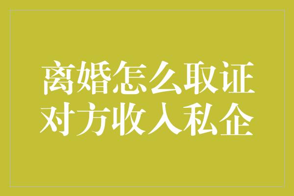 离婚怎么取证对方收入私企