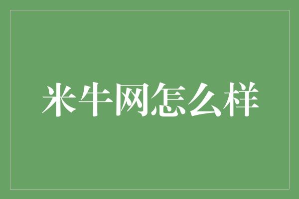 米牛网怎么样