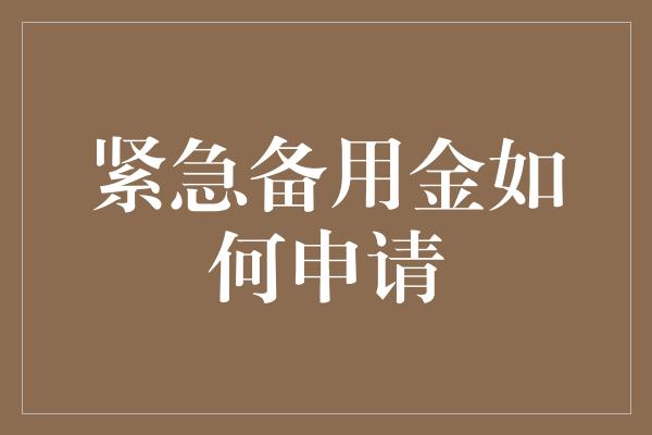 紧急备用金如何申请