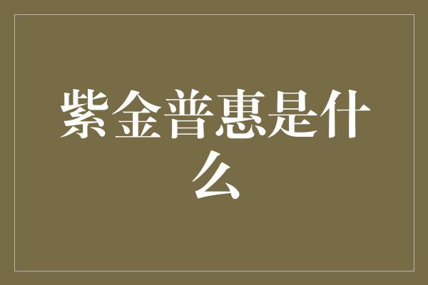 紫金普惠是什么