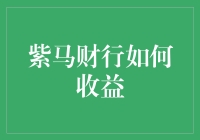 紫马财行的收益策略分析与投资安全评估