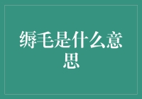 从缛毛看语言的生发与演化