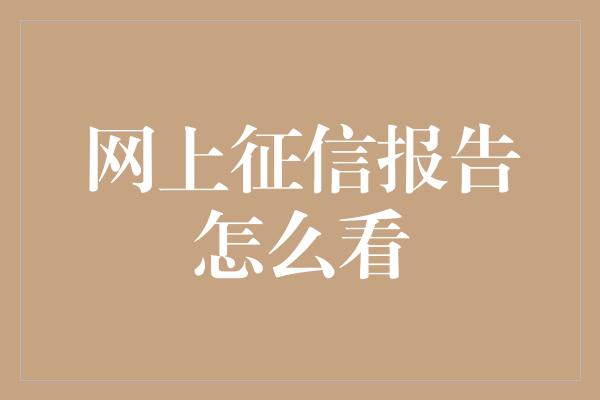 网上征信报告怎么看