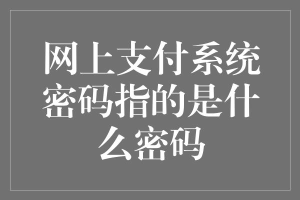 网上支付系统密码指的是什么密码