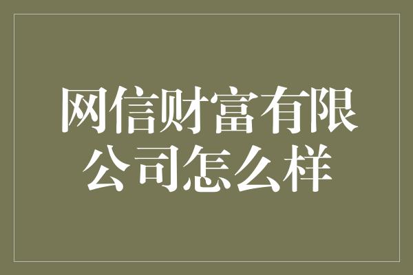 网信财富有限公司怎么样