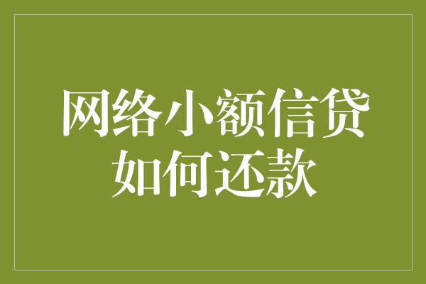 网络小额信贷如何还款