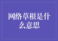 网络草根：金融领域的平民英雄