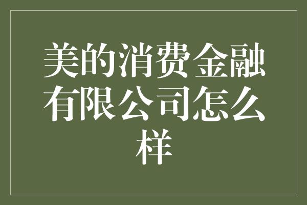 美的消费金融有限公司怎么样