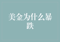 从货币理论的角度解析美金暴跌的原因与可能影响