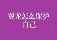 翼龙如何保护自己？金融技巧揭秘！