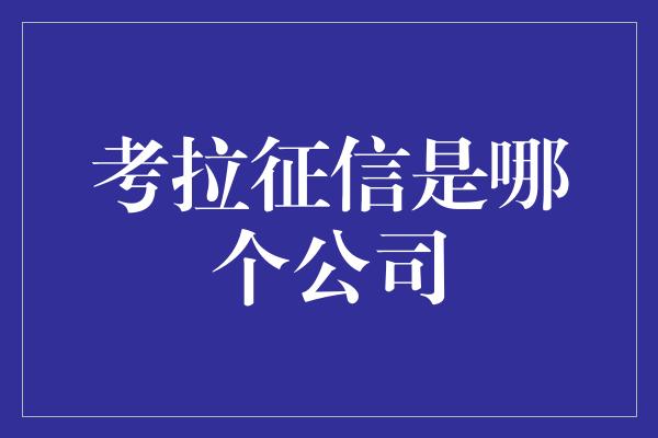 考拉征信是哪个公司