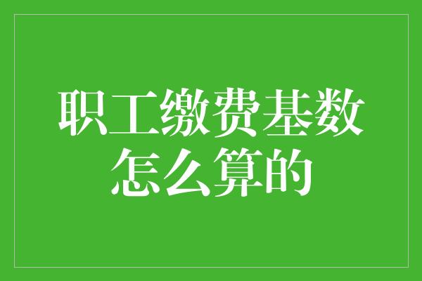 职工缴费基数怎么算的