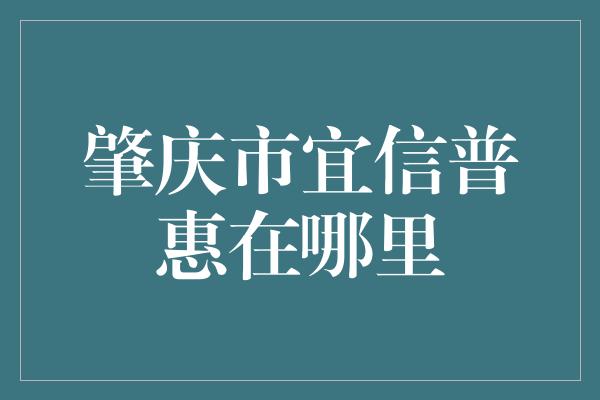 肇庆市宜信普惠在哪里