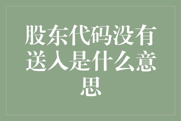 股东代码没有送入是什么意思