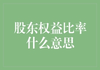 股东权益比率：一场关于金钱、权利与狂热的冒险