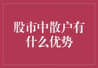 散户在股市中的优势：从微观视角洞察市场