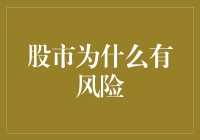 股市风险的本质：理性与非理性行为的博弈