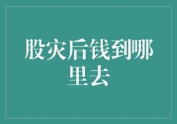 股灾后的投资选择：钱究竟流向何方？