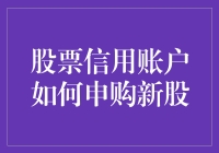 股票信用账户申购新股：让您的钱袋子跟着新股飞？