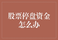 股票停盘期间资金管理策略：稳健与创新并行