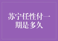 苏宁任性付一期的期限与还款方式深度解析