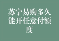 苏宁易购任意付额度申请：等待时间长短受哪些因素影响？