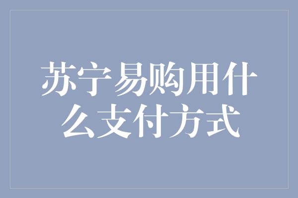 苏宁易购用什么支付方式