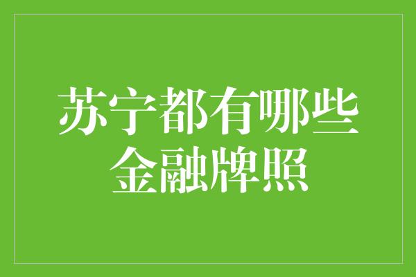 苏宁都有哪些金融牌照