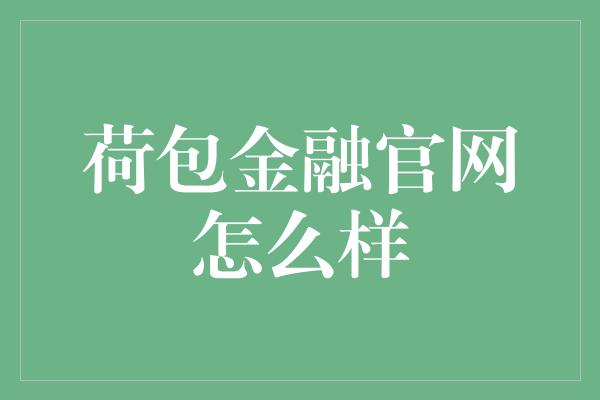 荷包金融官网怎么样