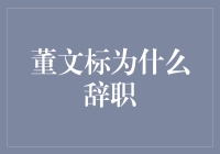 董文标为何辞去银行董事长职务？